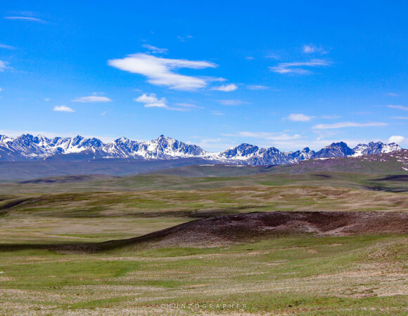 DEOSAI