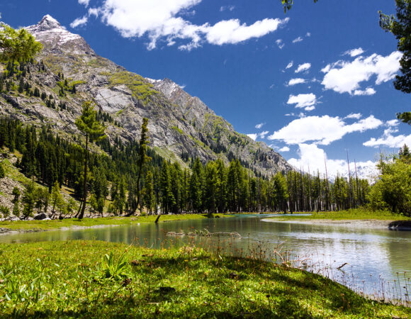 SWAT, KALAM & MALAM JABBA